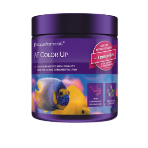 Color Up 100 g - 1