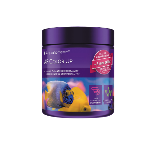Color Up 100 g - 1