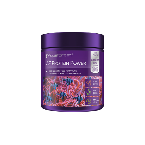 Protein Power 120 g - 1