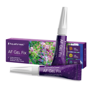 Gel Fix - 2x20 ml - 1