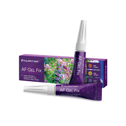 Gel Fix - 2x20 ml - 1