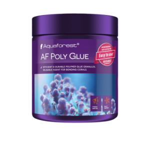 Poly Glue 250 g - 1