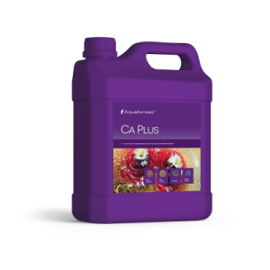 CA PLUS - 1 2
