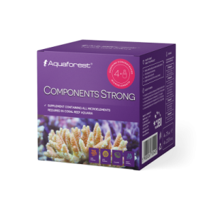 Components Strong - 1