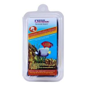 Brown Seaweed (12g) - 1