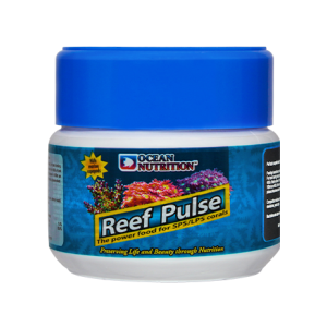 Reef Pulse - 1