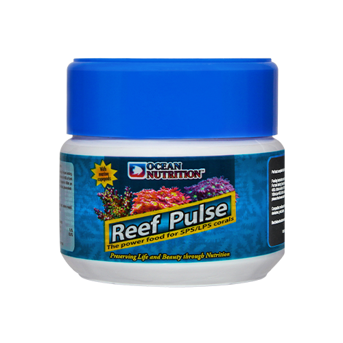 Reef Pulse - 1