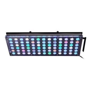 Atlantic V4 Gen2 - 1