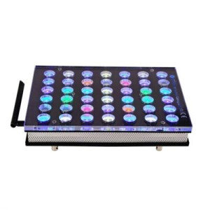 Atlantic Compact V4 Gen2 - 1