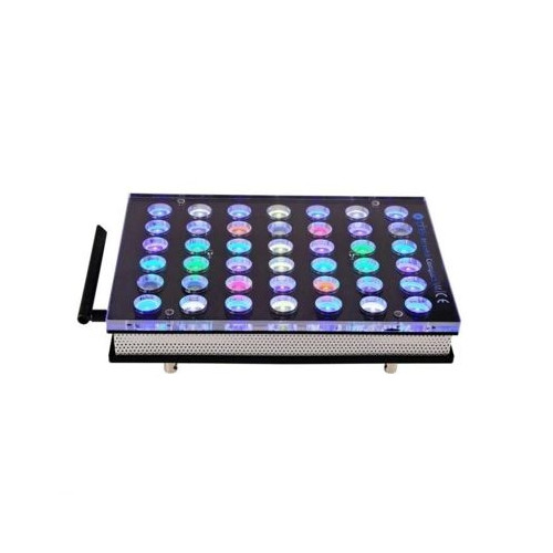 Atlantic Compact V4 Gen2 - 1