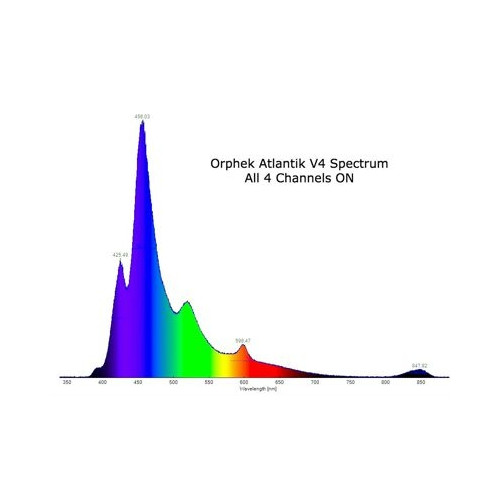 Atlantic Compact V4 Gen2 - 3