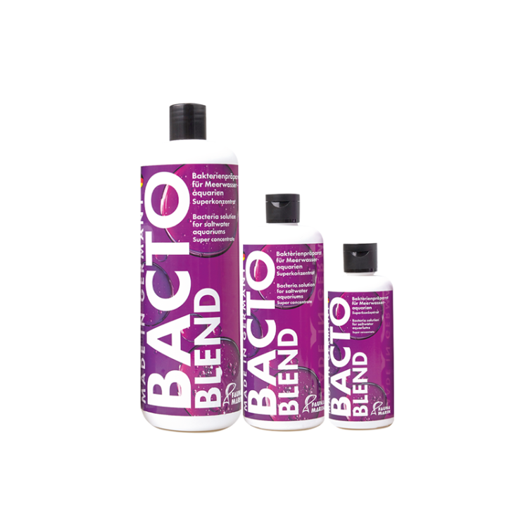 Bacto Blend - 1
