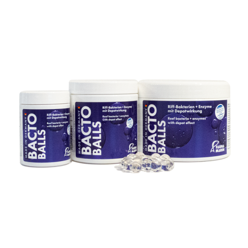 Bacto Reef Balls - 1 Bacto Reef Balls - 1