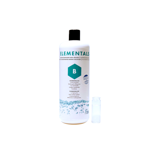 Elementals - B - 1 Elementals - B - 1