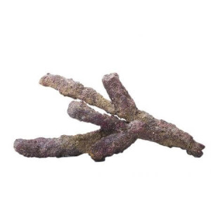 LifeRock Belize Branch - 9,07 kg. - 1