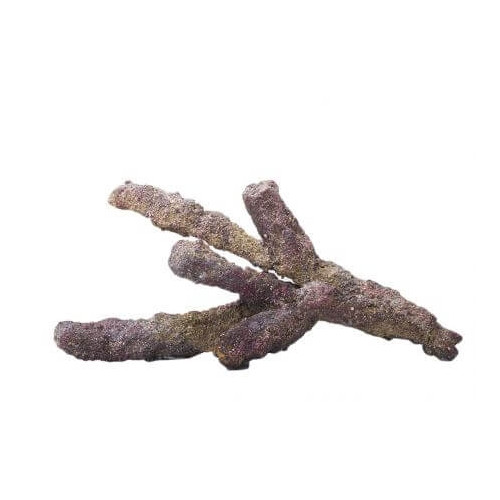 LifeRock Belize Branch - 9,07 kg. - 1