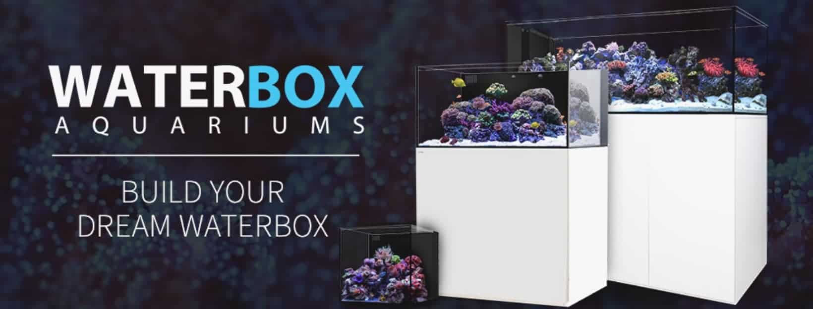 waterbox