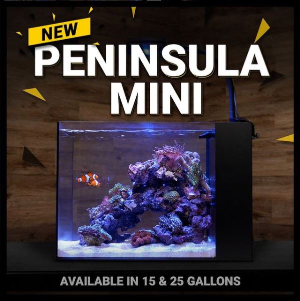 Waterbox Penisnula