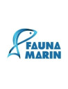 Fauna Marin