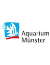 Aquarium Münster