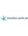 Korallen-Zucht